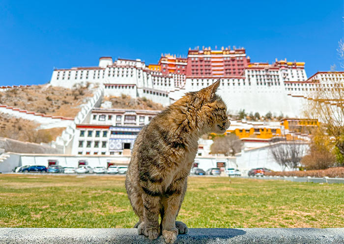 中国旅游